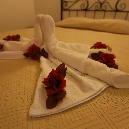 Hotel Zi̇nci̇rli̇ Aydin